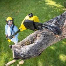 Best Commercial Tree Services  in Buffalo, TX